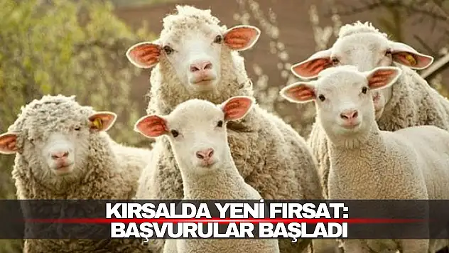 Kırsalda Yeni Fırsat! Başvurular Başladı...