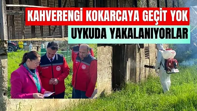 Kışlak alanlar ilaçlanıyor