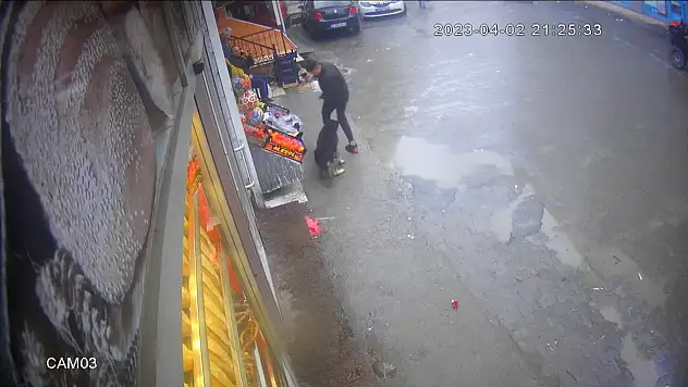 Köpeğin çocuğa saldırma anı kameralara yansıdı