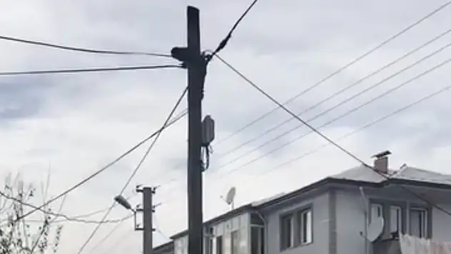 Köpeklerden kaçtı, direkte mahsur kaldı