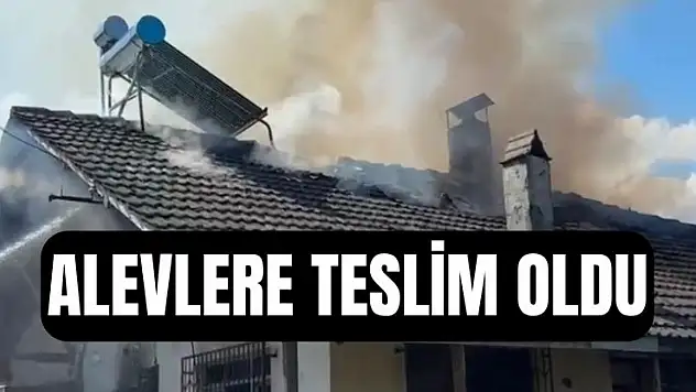 Korkutan yangın