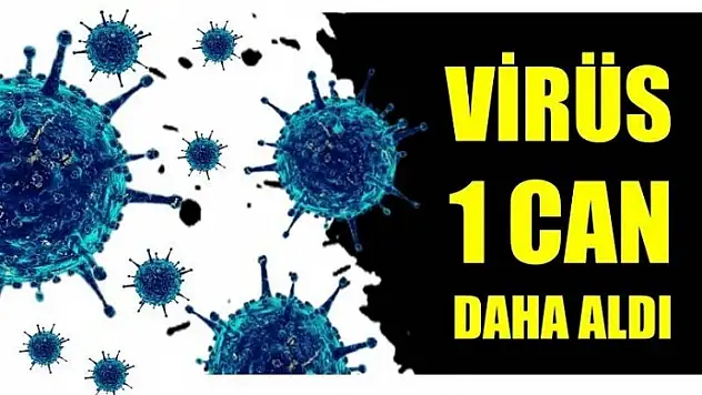 KORONAVİRÜS 1 CAN DAHA ALDI