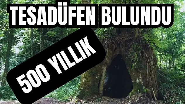 Koruma altına alınıyor