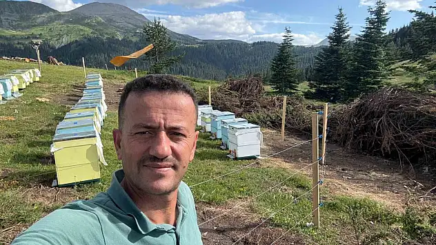 Koruma altındaki gelincik Ilgaz Dağı'nda görüntülendi