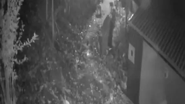 Köy merkezine inen ayıları torpil atarak kaçırdılar