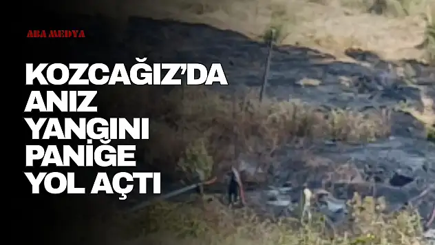 Kozcağız'da Anız Yangını Paniğe Yol Açtı