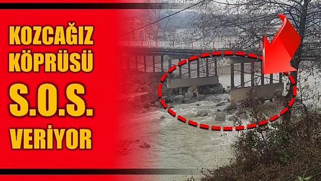 Kozcağız'da dikkat çeken görüntü