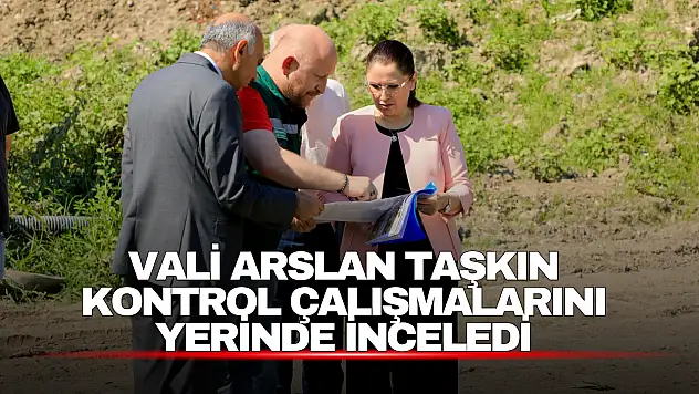 Kozcağız ve Özbaşı'nda DSİ Yatırımları Sürüyor