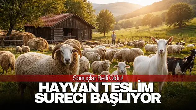 Küçükbaş Destek Sonuçları Açıklandı