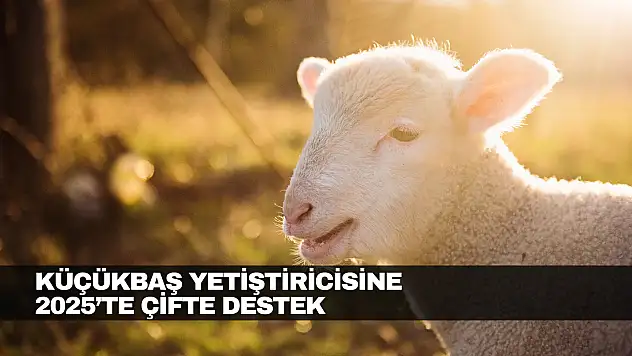 Küçükbaş Yetiştiricisine Çifte Destek