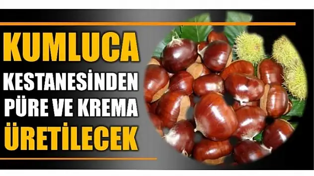 Kumluca kestanesinden püre ve krema üretilecek...