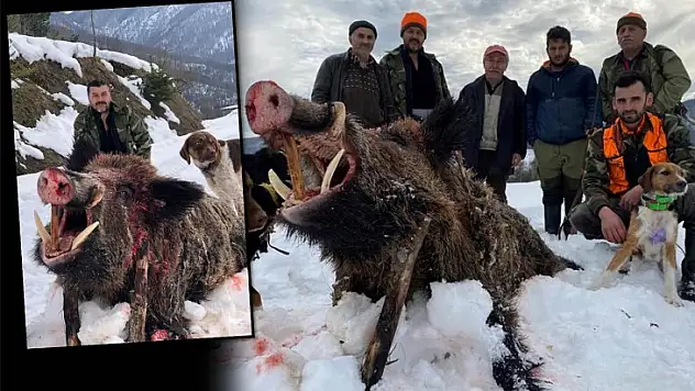 Kumlucalı avcılardan kaçamadı