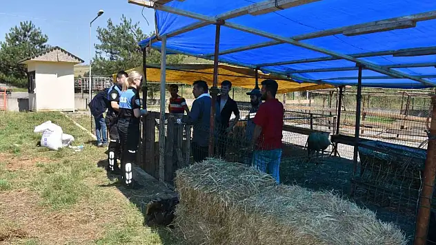 Kurban pazarında vatandaşlara dolandırıcılık uyarısı
