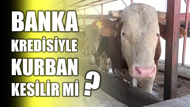 Kurban Rehberi yayınlandı
