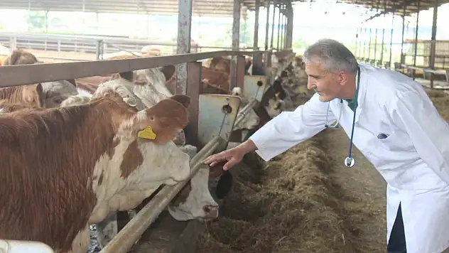 Kurbanlık alacaklar dikkat