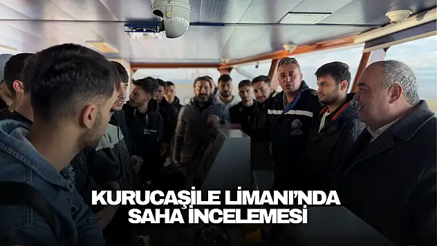 Kurucaşile Limanı'nda Saha İncelemesi