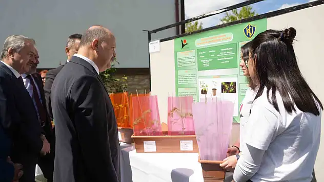 Lise öğrencilerinin deneyi ortaya koydu: Naylon rengi serada verimi arttırıyor