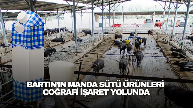 Manda Sütü Ürünleri Coğrafi İşaret Yolunda