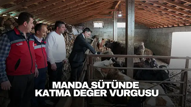 Manda Sütünde Katma Değer Vurgusu