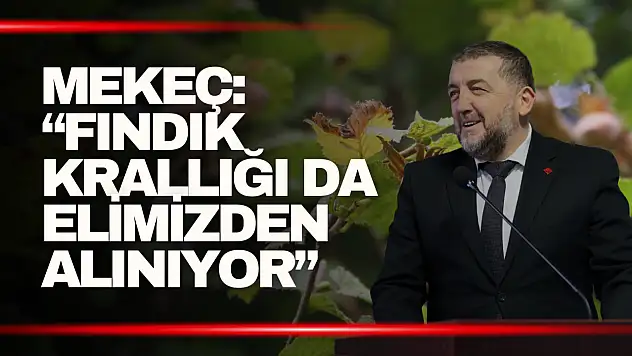 Mekeç: 'Fındık Krallığı da Elimizden Alınıyor'