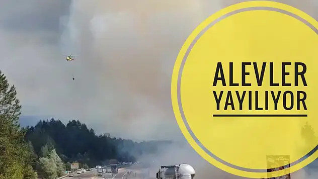 Mengen'de yangın büyüyor