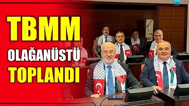 Milletvekili Aldatmaz TBMM'de