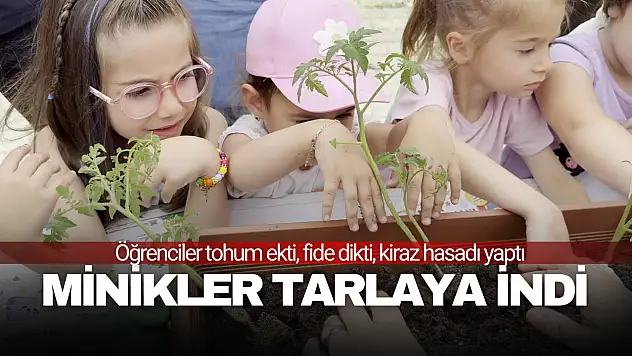 Minikler Tarlaya İndi