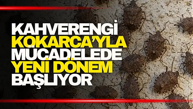 Mücadelede Yeni Dönem Başlıyor