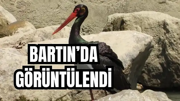Nadir anlar