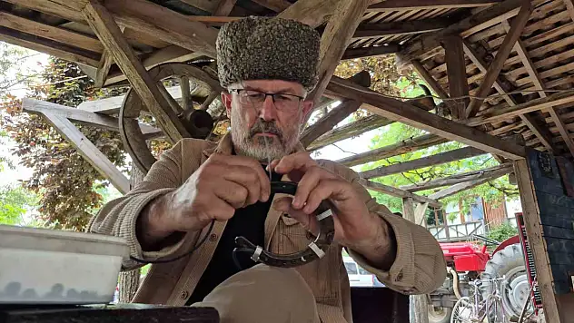 Nallar sanat eseri oldu