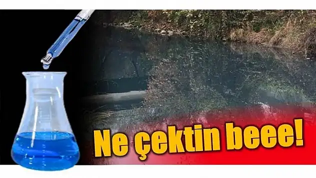 İHALE SONUÇLANDI SUÇ YİNE BARTIN IRMAĞINA KALDI!