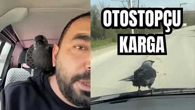 Neye uğradığını şaşırdı