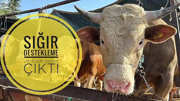 O tarihlere dikkat