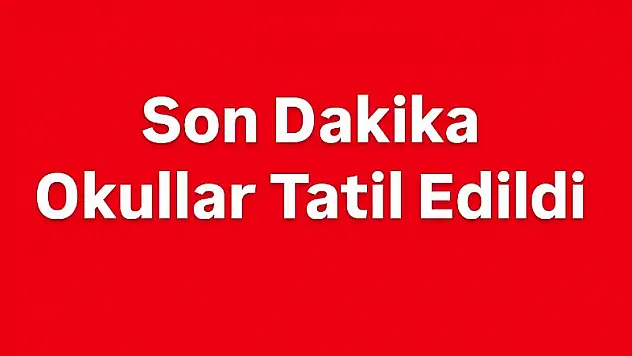 Okullar tatil edildi
