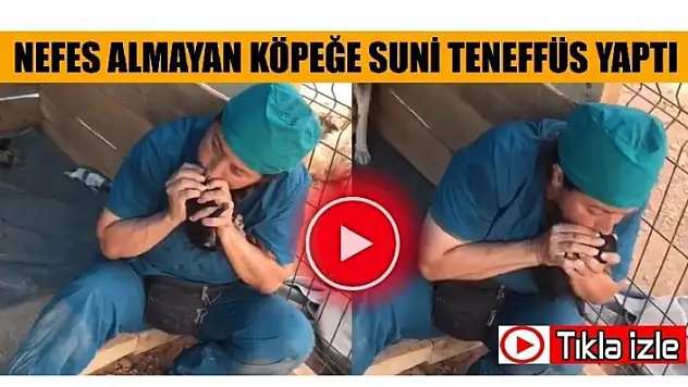 ÖLÜ DOĞAN KÖPEĞE SUNİ TENEFFÜS YAPTI