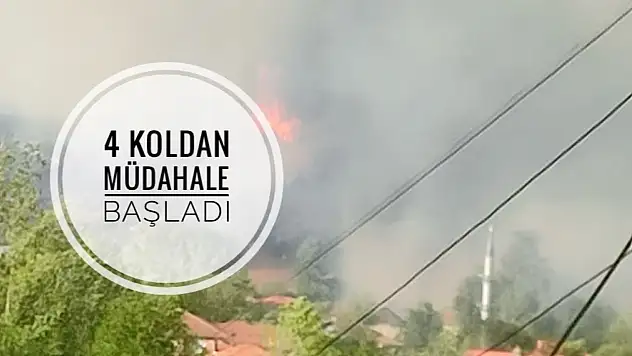 Orman yangını