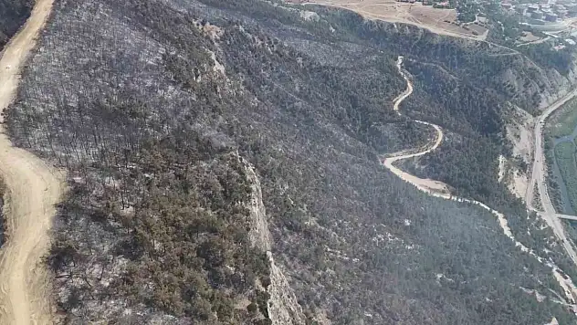 Orman yangınında zarar gören alanlar dronla görüntülendi