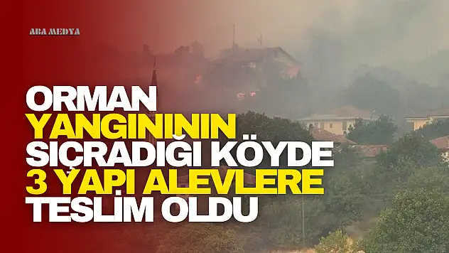 Orman yangınının sıçradığı köyde 3 yapı alevlere teslim oldu