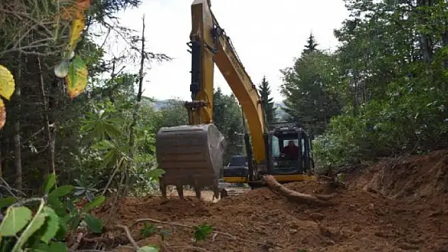 Orman yolu yapılacak