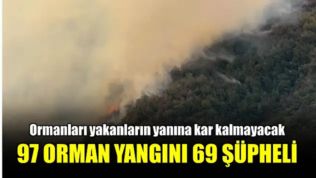 Ormanları ateşe verenler yakalandı