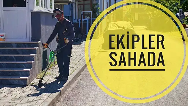 Otlar ve dikenler temizleniyor