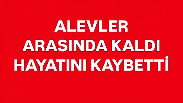 Otları yakmak istedi, hayatını kaybetti