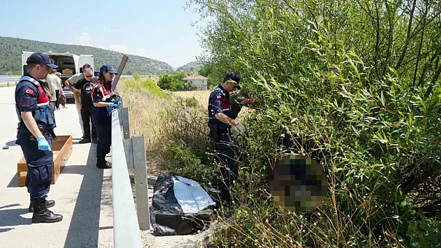 Otomobilin çarptığı bisikletli ağacın altında ölü bulundu