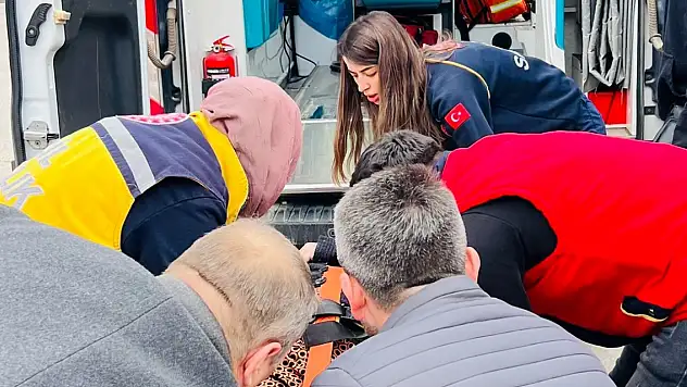 Otomobilin çarptığı yaya yaralandı