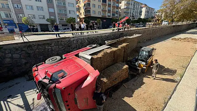 Park halindeyken hareket eden tır çaya uçtu