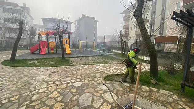 Park ve yeşil alanlarda bakım çalışması