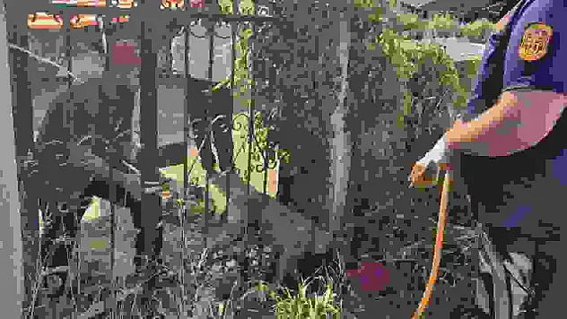 Parmaklıklara sıkışan köpek kurtarıldı