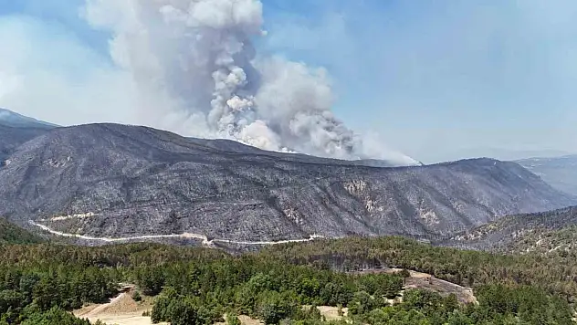 Rüzgar, Karabük'teki orman yangınlarını yeniden alevlendirdi