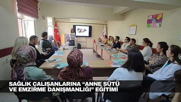 Sağlık Çalışanlarına 'Anne Sütü ve Emzirme Danışmanlığı' Eğitimi
