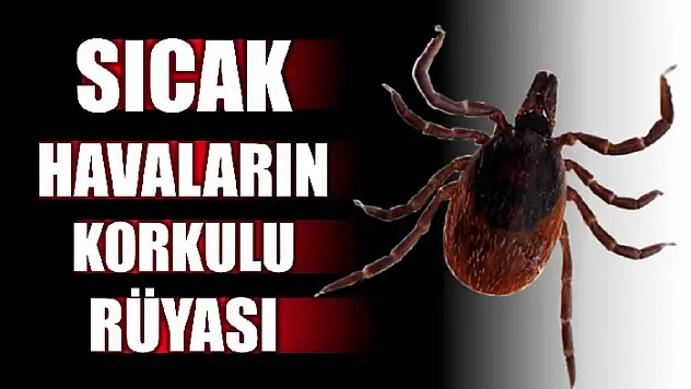Sağlık Müdürlüğünden uyarı